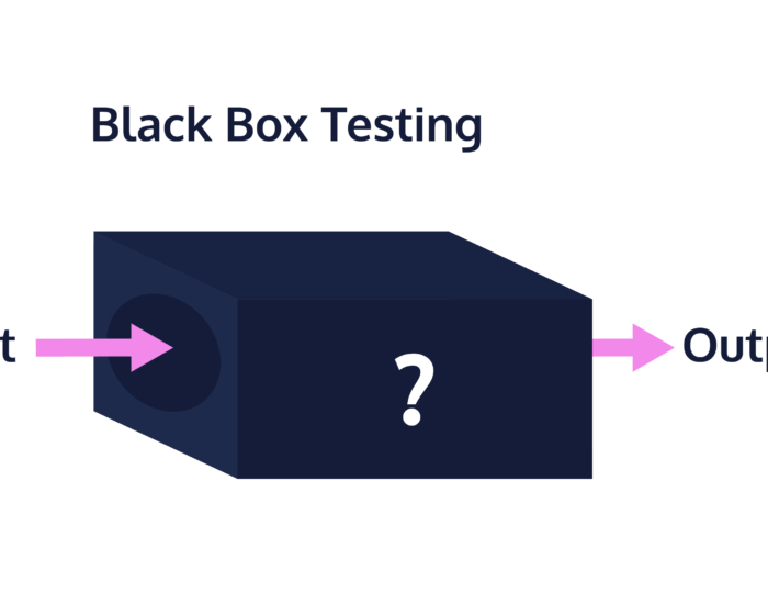 What is Black Box  in Computer?