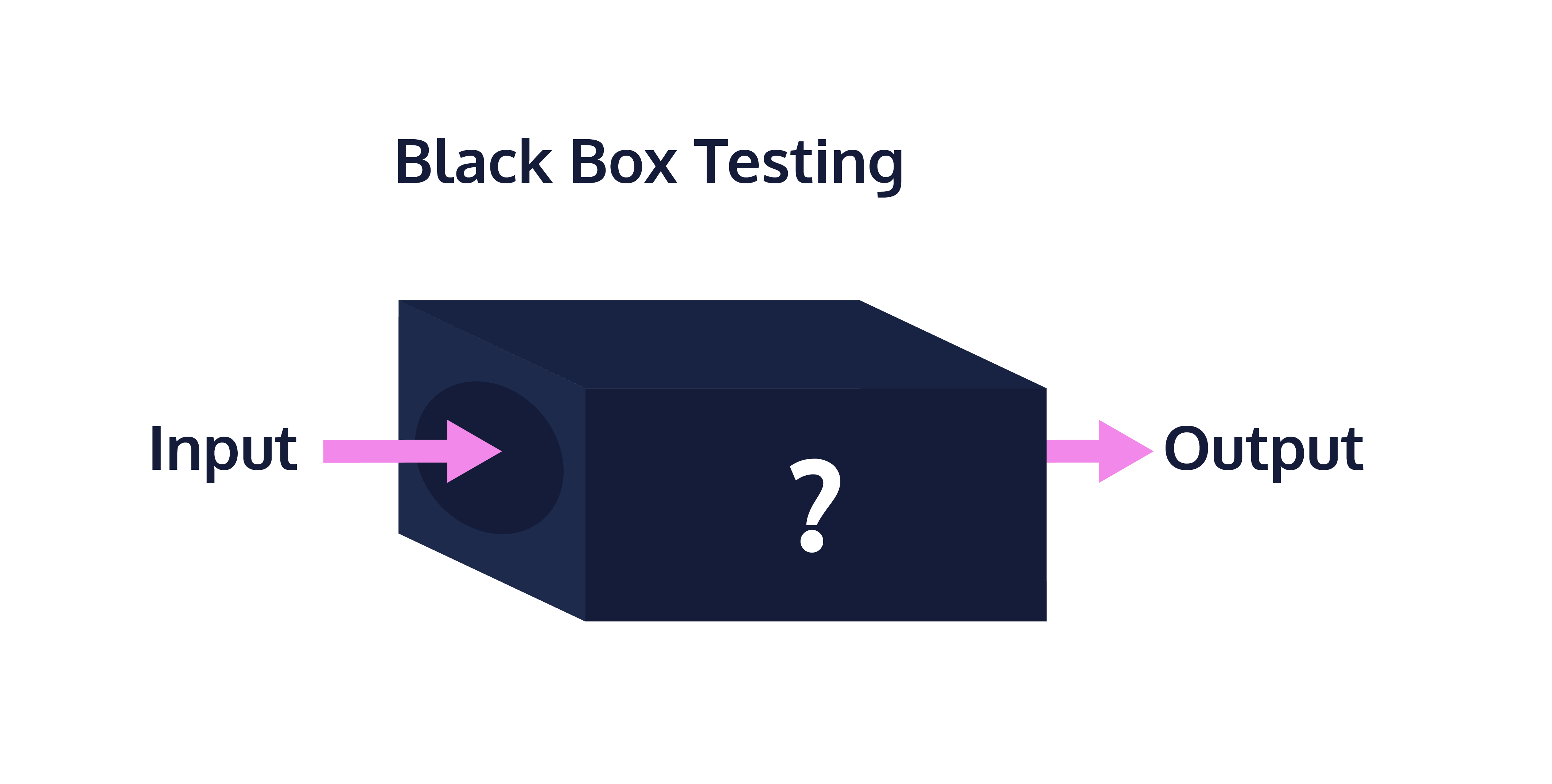 What is Black Box  in Computer?